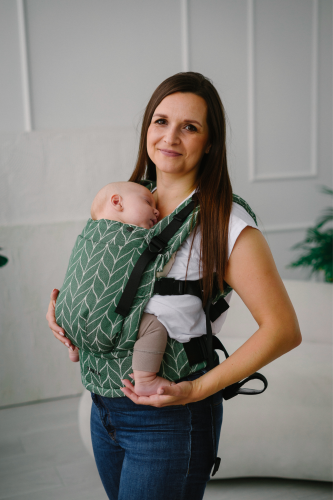 multi fern braid.png